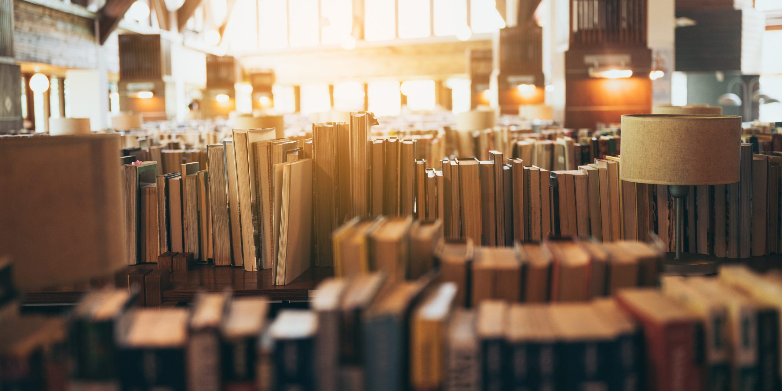 Bookshelves in public libraries, Conceptual of education