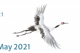 52 TCM Kongress Rothemburg 2021